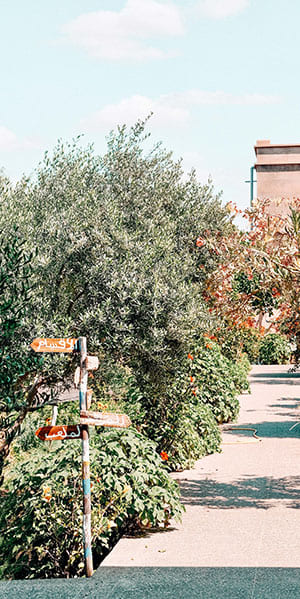 Centre Fierts et Forts