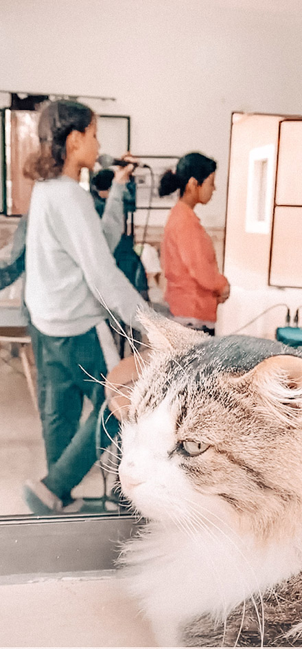 Dessins des enfants du Centre Fiers et Forts